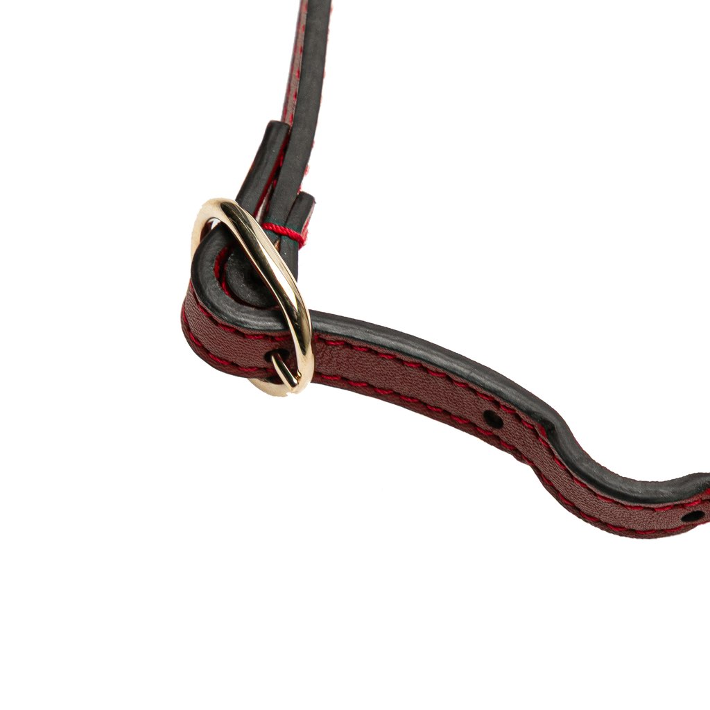 Gucci Microguccissima Wallet on Strap - Image 12