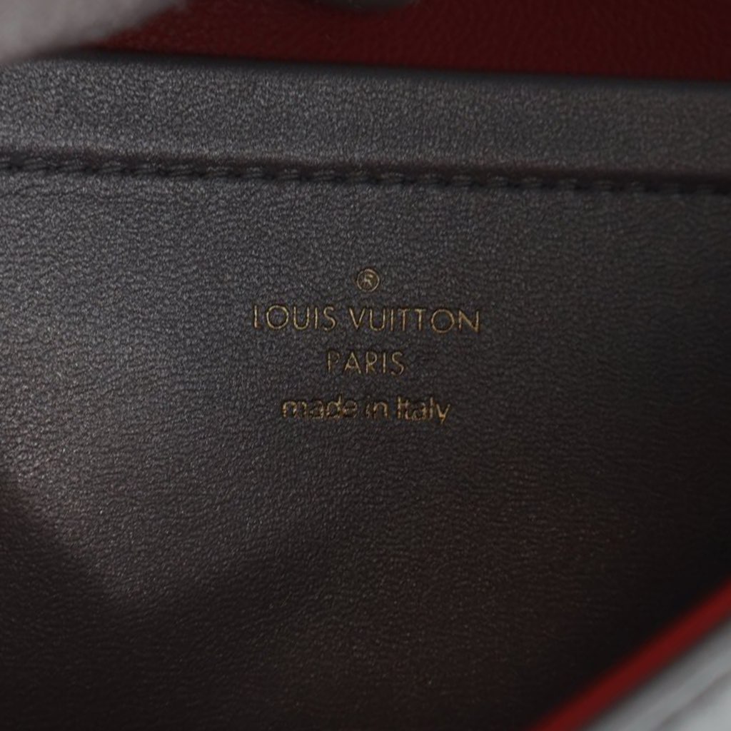 Louis Vuitton Monogram Embossed Lambskin Pochette Coussin - 5