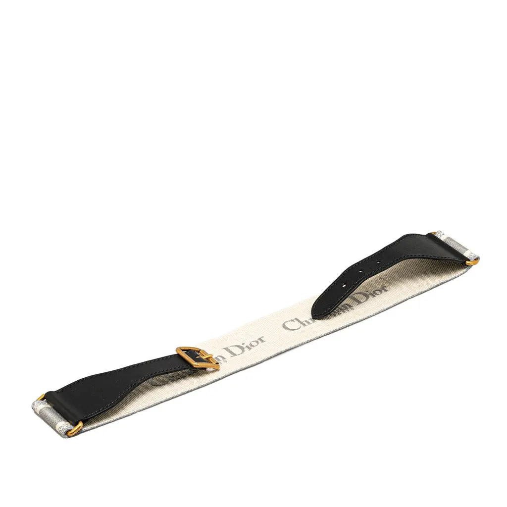 Dior Embroidered Logo Strap Grey Canvas Good - Front View