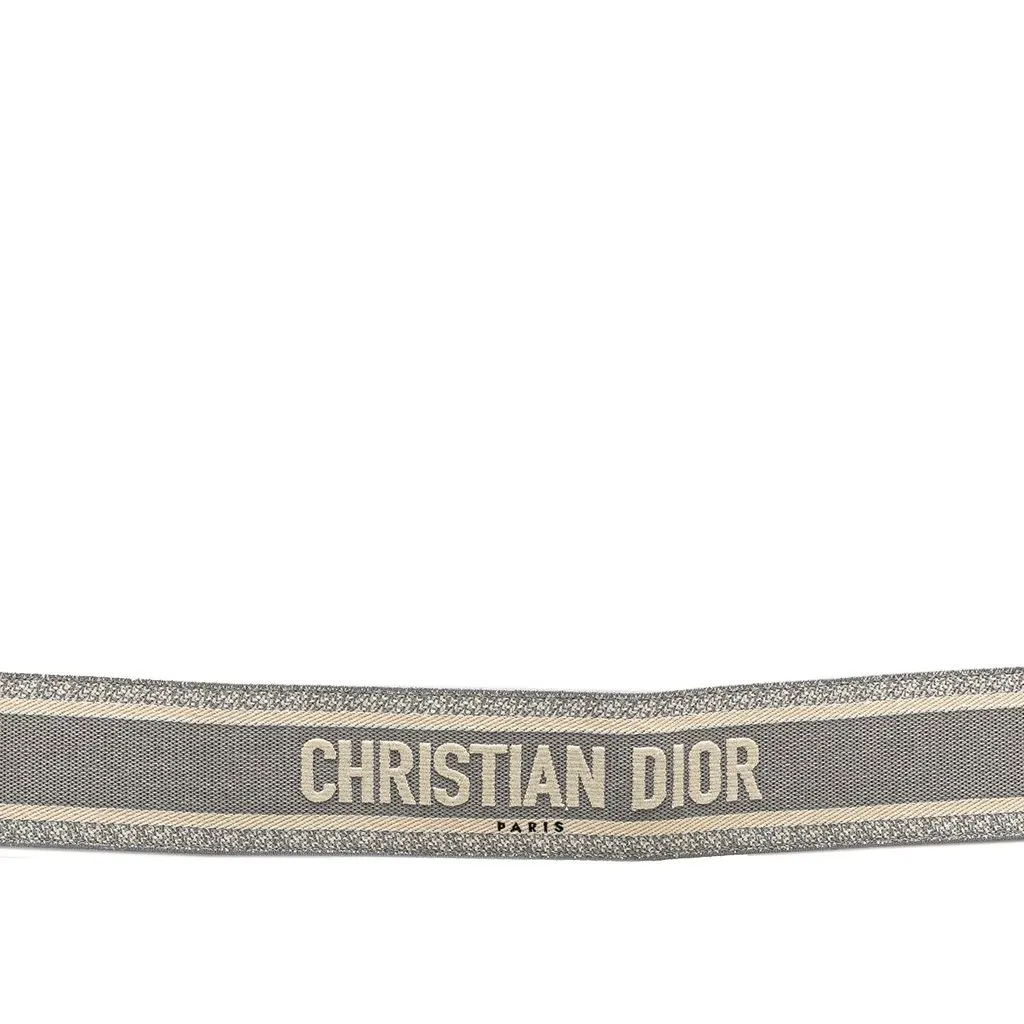 Dior Embroidered Logo Strap Grey Canvas Good - Back View