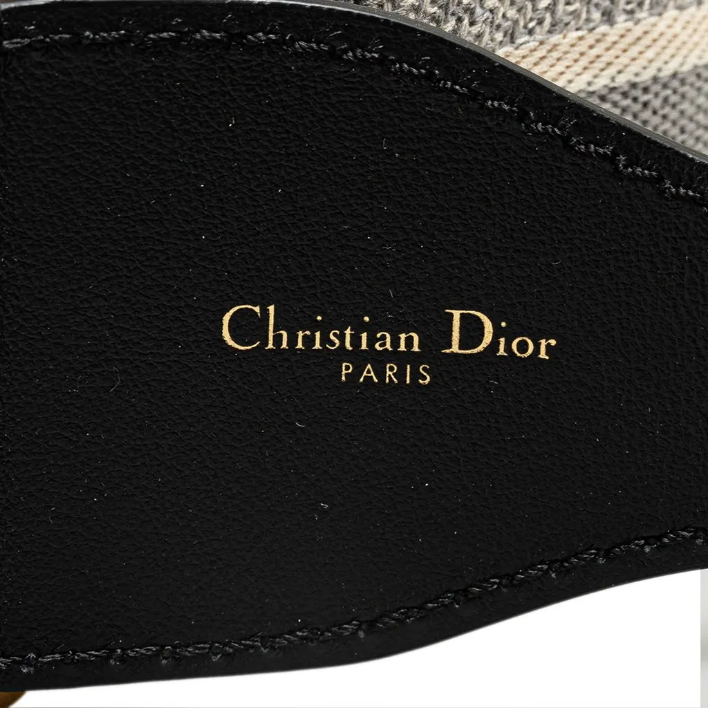Dior Embroidered Logo Strap Grey Canvas Good - Model View