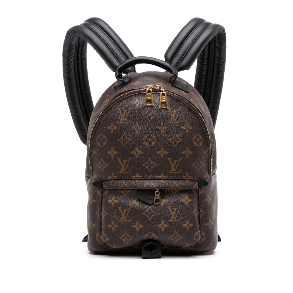 Louis Vuitton Monogram Palm Springs PM