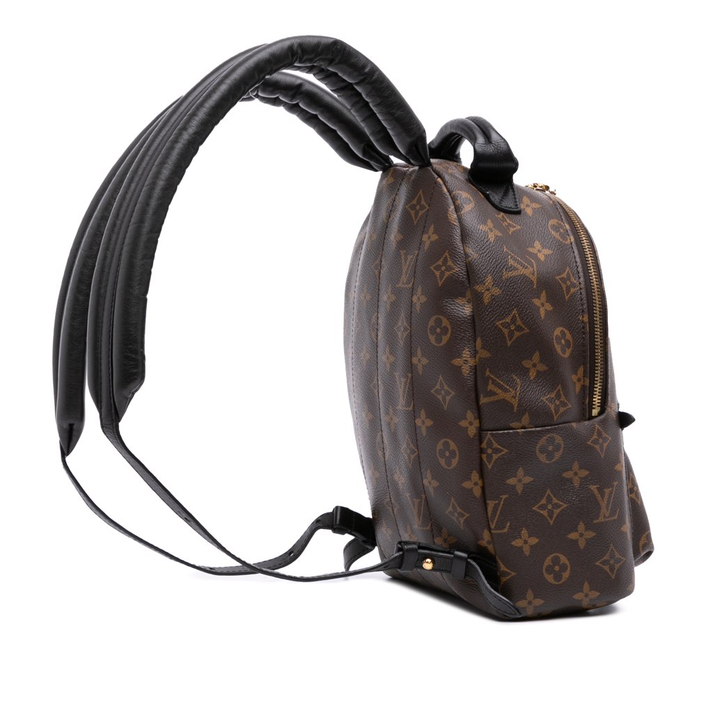 Louis Vuitton Monogram Palm Springs PM - 2