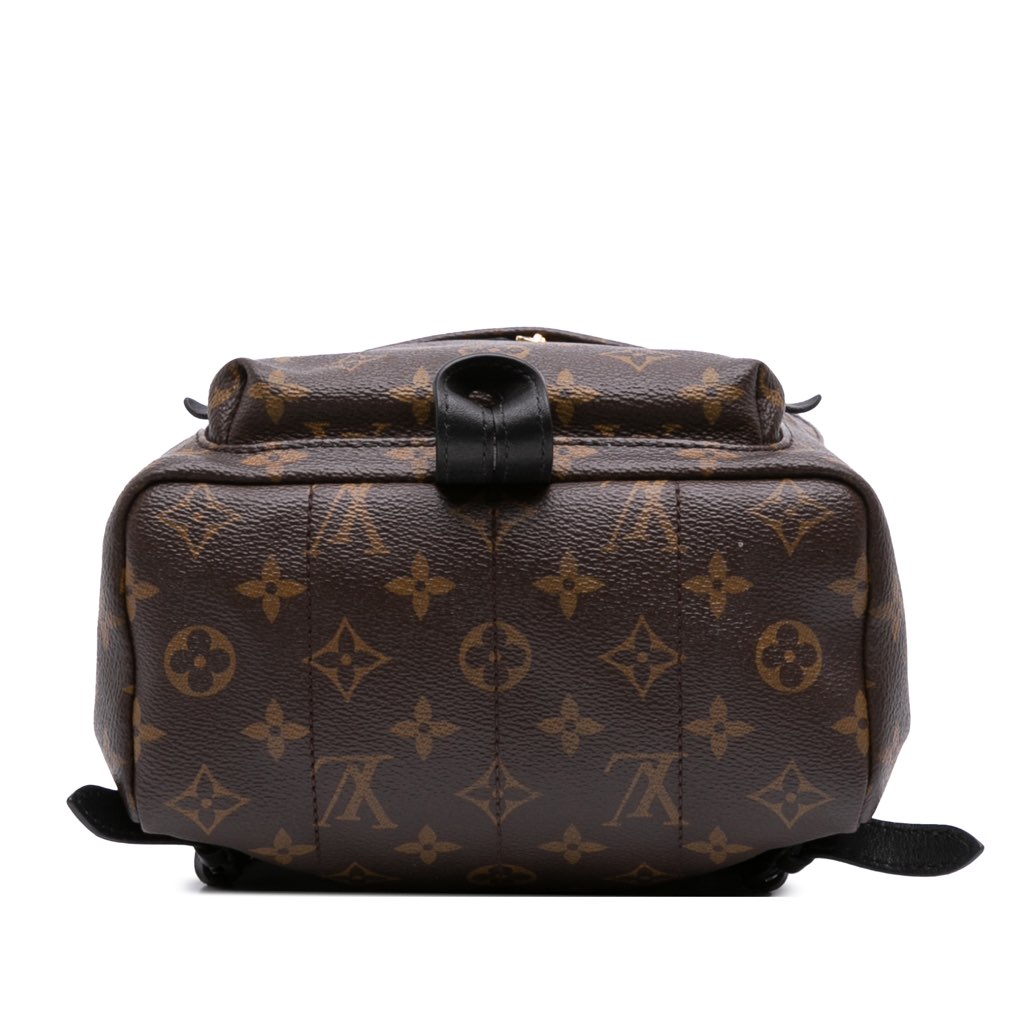 Louis Vuitton Monogram Palm Springs PM - 3