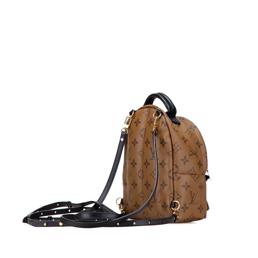 Louis Vuitton Monogram Reverse Mini Palm Springs - Back view