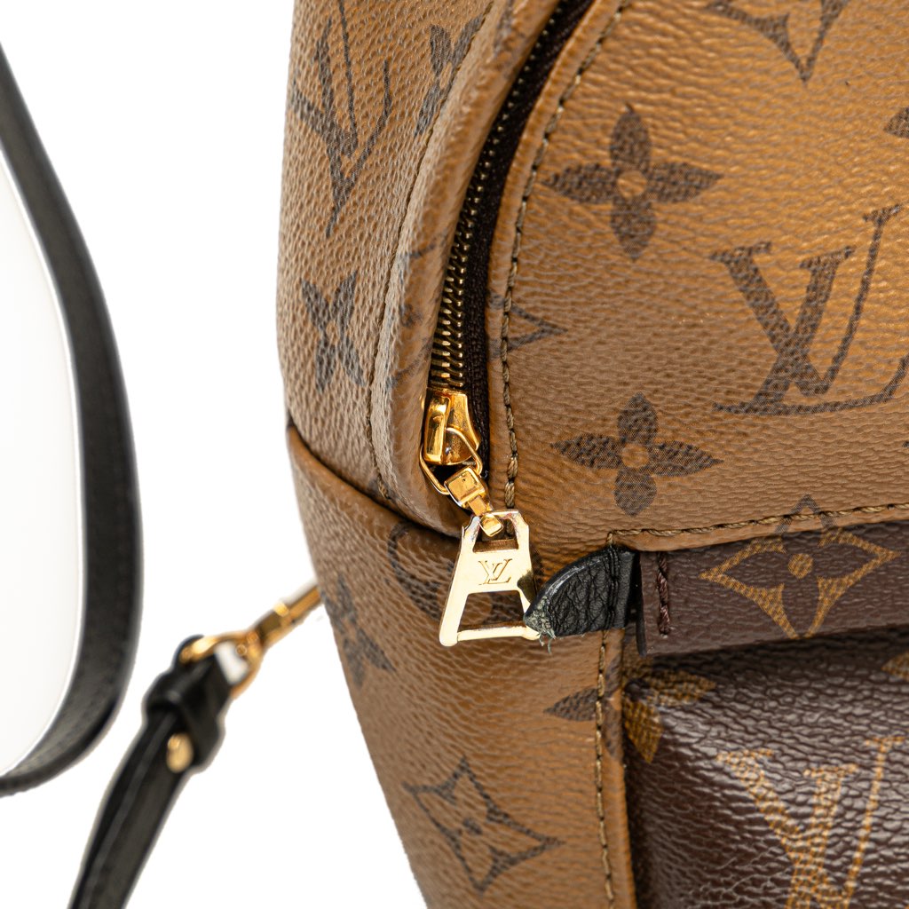 Louis Vuitton Monogram Reverse Mini Palm Springs - Detail 2