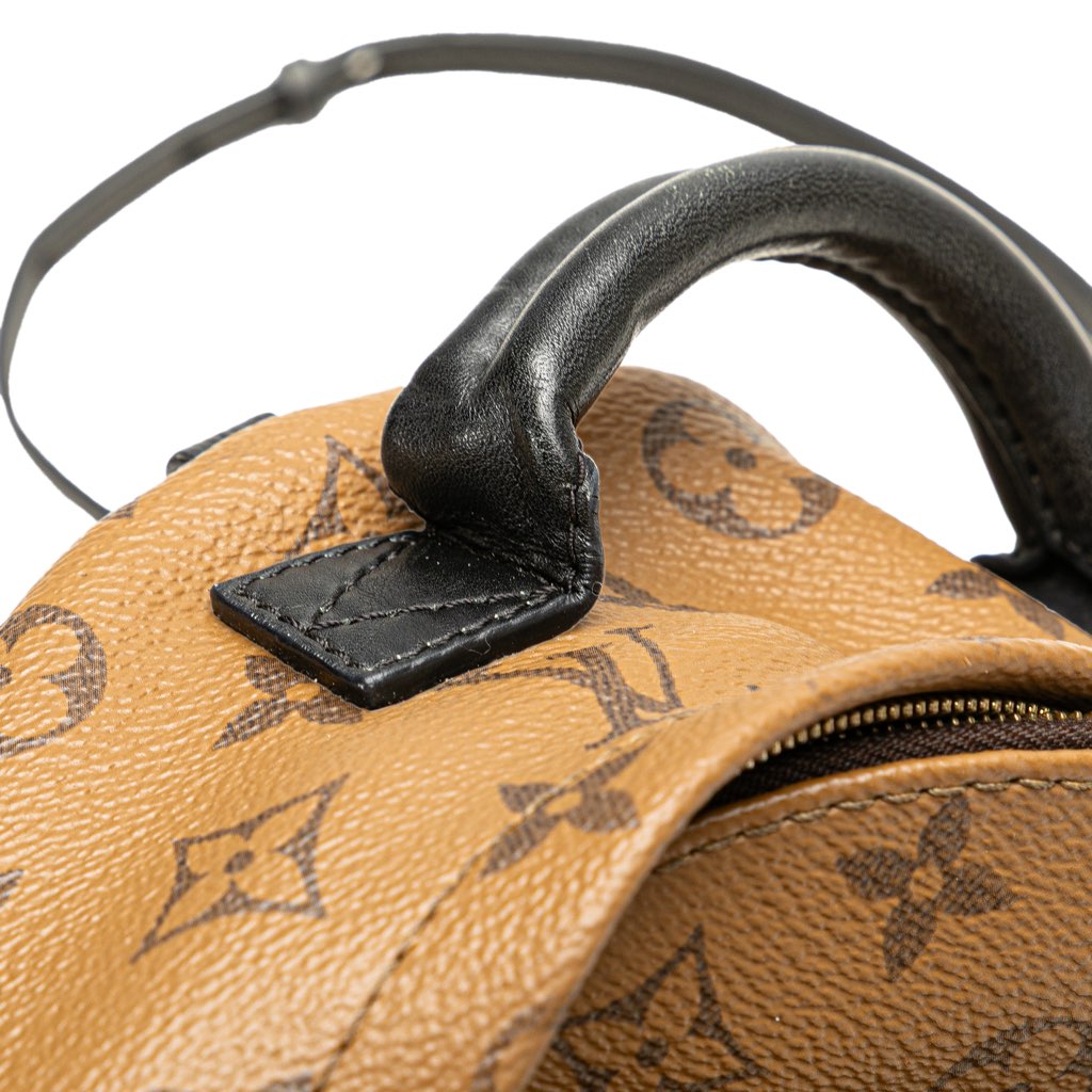 Louis Vuitton Monogram Reverse Mini Palm Springs - Image 11