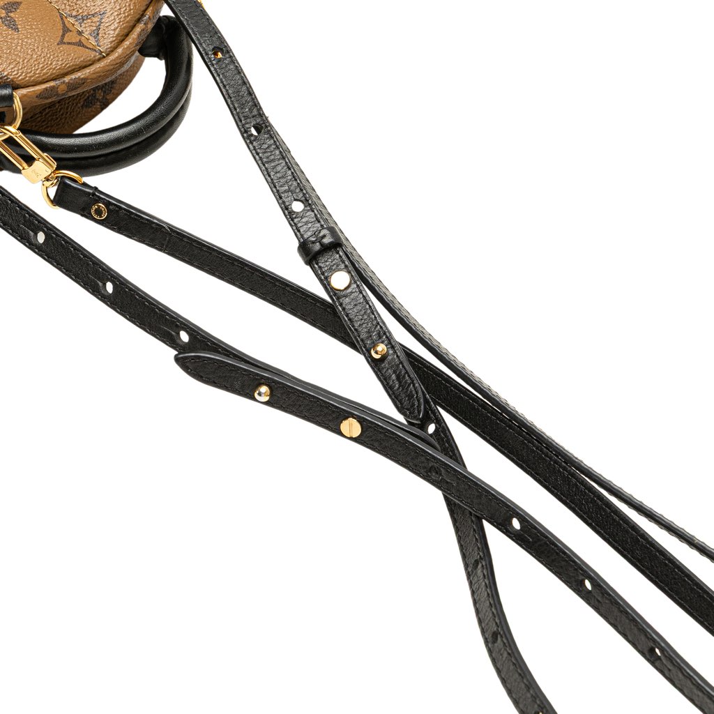 Louis Vuitton Monogram Reverse Mini Palm Springs - Image 12