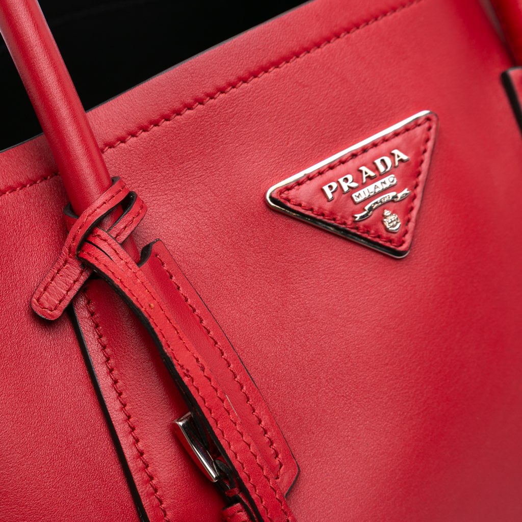 Prada Large City Calf Double Satchel - Image 11