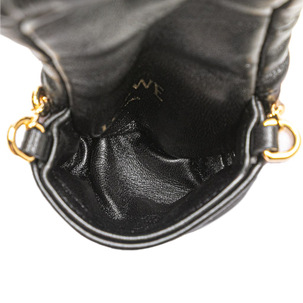 Loewe Shiny Lambskin Goya Puffer Case - Image 6