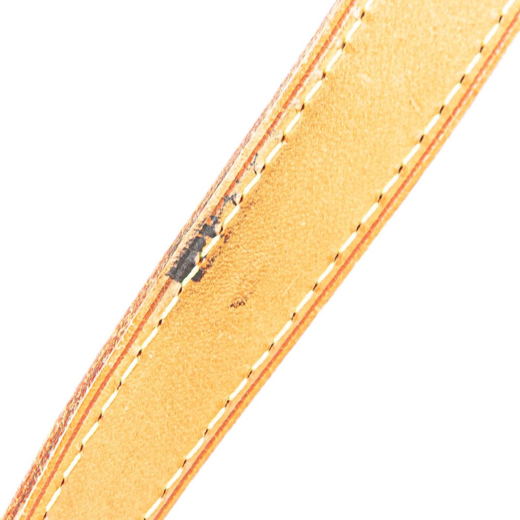 Louis Vuitton Monogram Odeon PM - Image 11