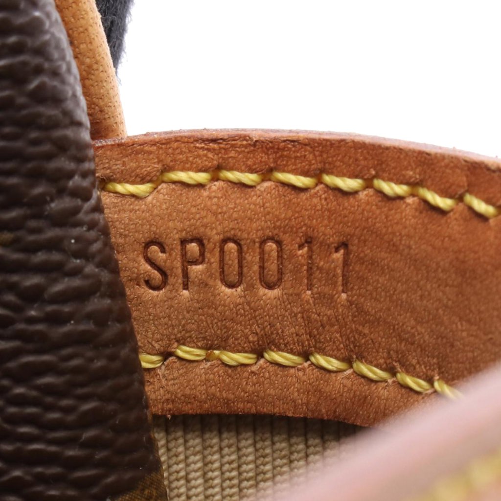 Louis Vuitton Monogram Reporter PM - 5