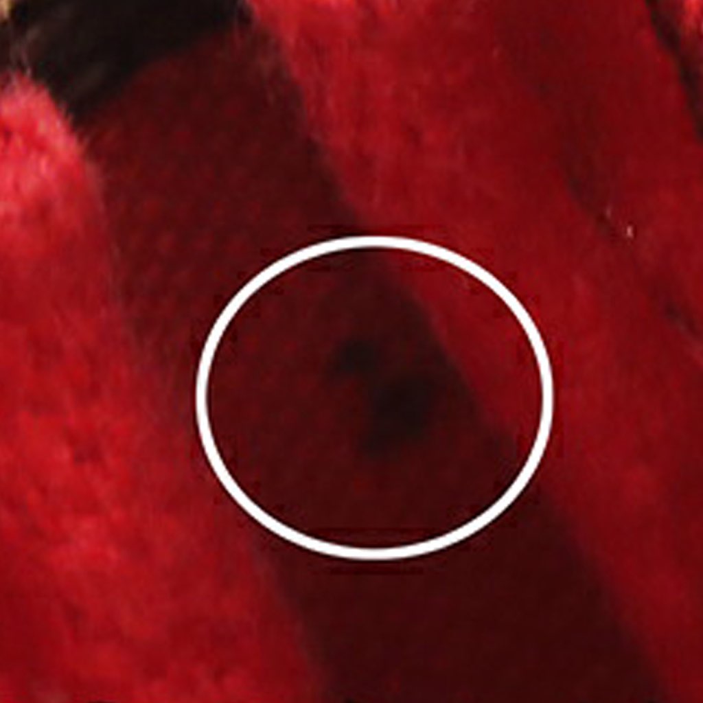 Louis Vuitton Damier Ebene Mini Pochette Accessoires - Image 11