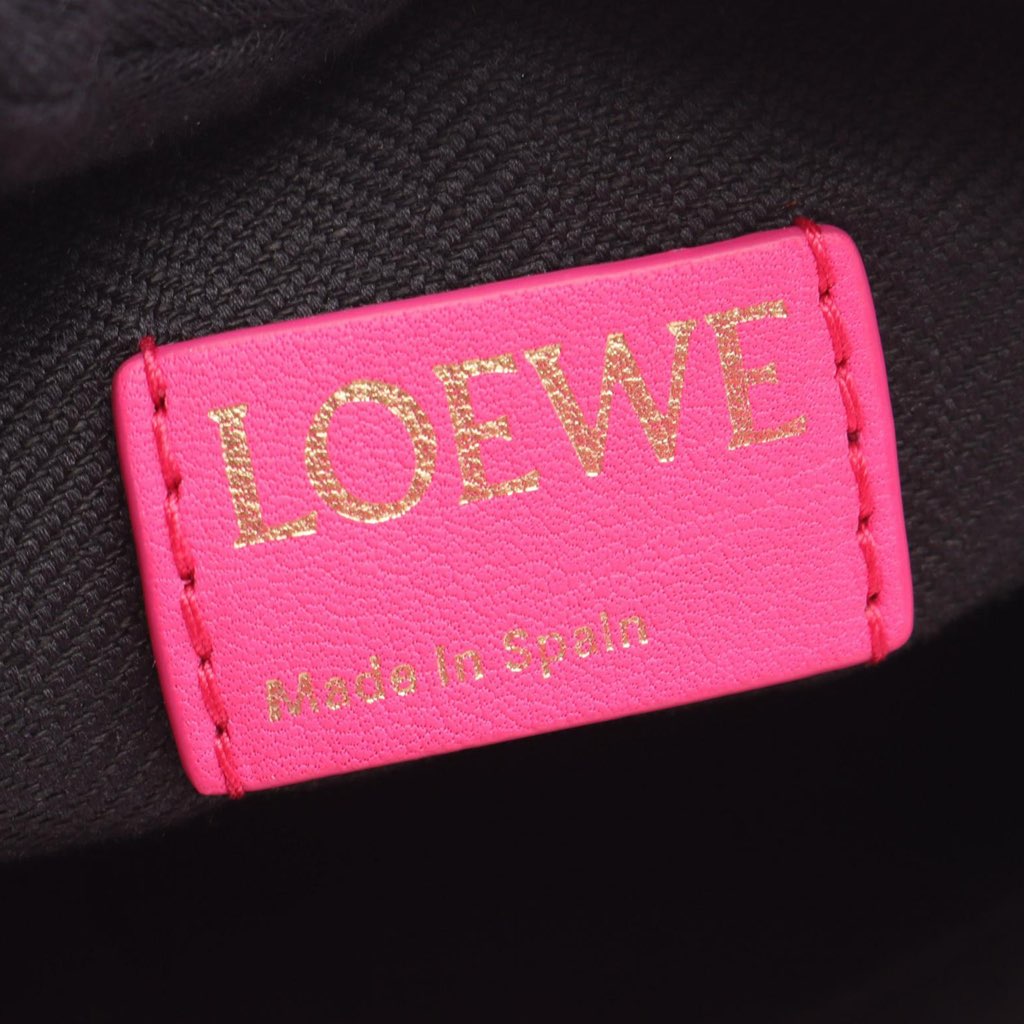 Loewe Small Anagram Canvas Cubi Bag - 4