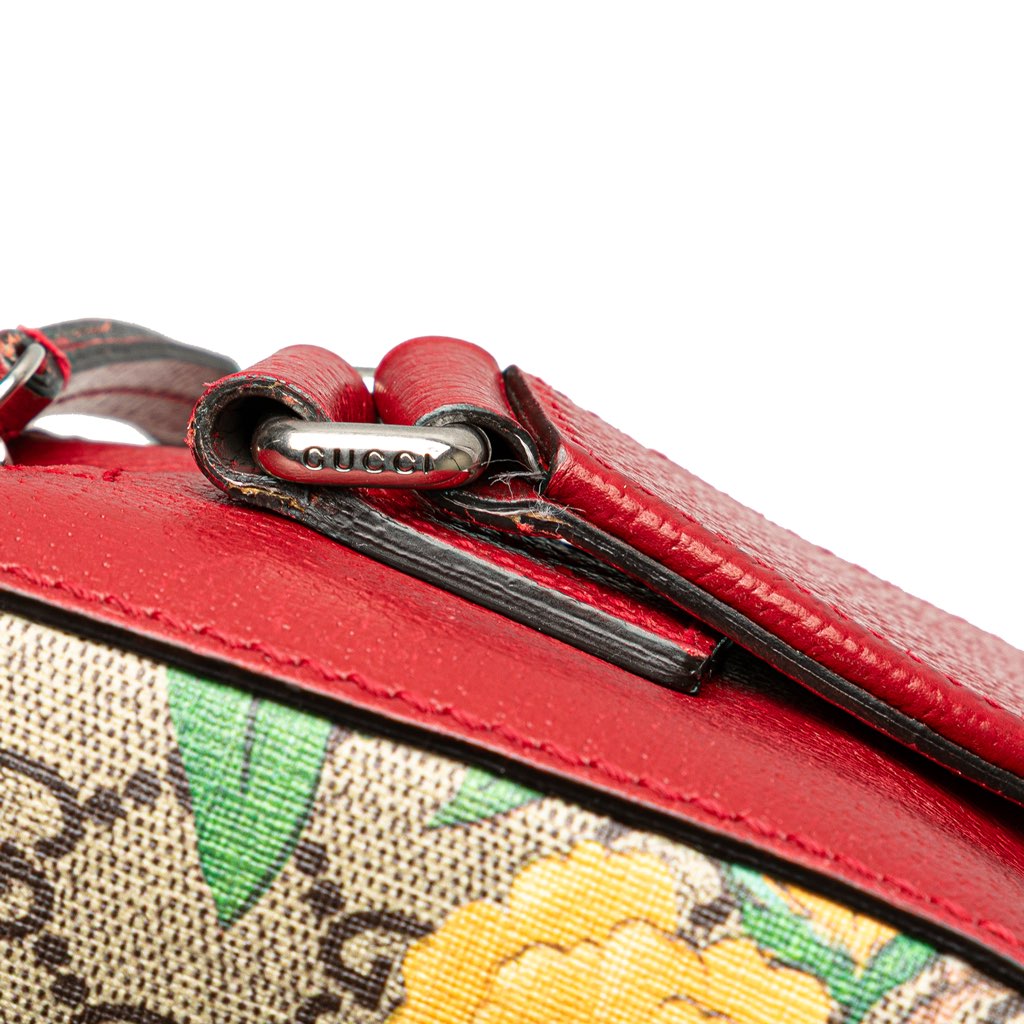 Gucci GG Supreme Tian Crossbody - Image 11