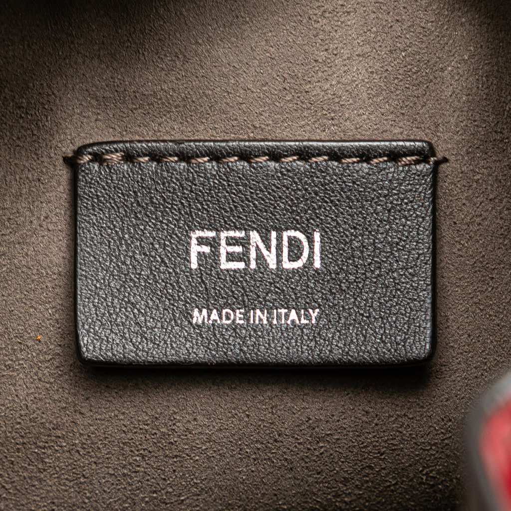Fendi Mini Zucca Embossed Leather Mon Tresor Bucket Bag - 5
