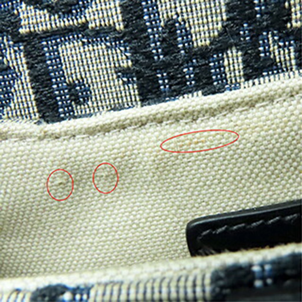 Dior Mini Oblique Canvas Saddle Bag - Detail 1