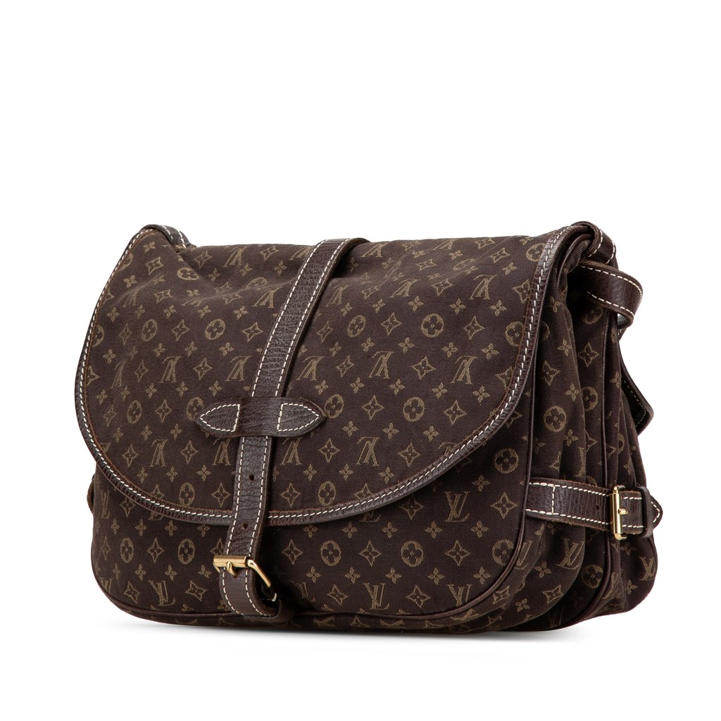 Louis Vuitton Monogram Mini Lin Saumur 30 - 2