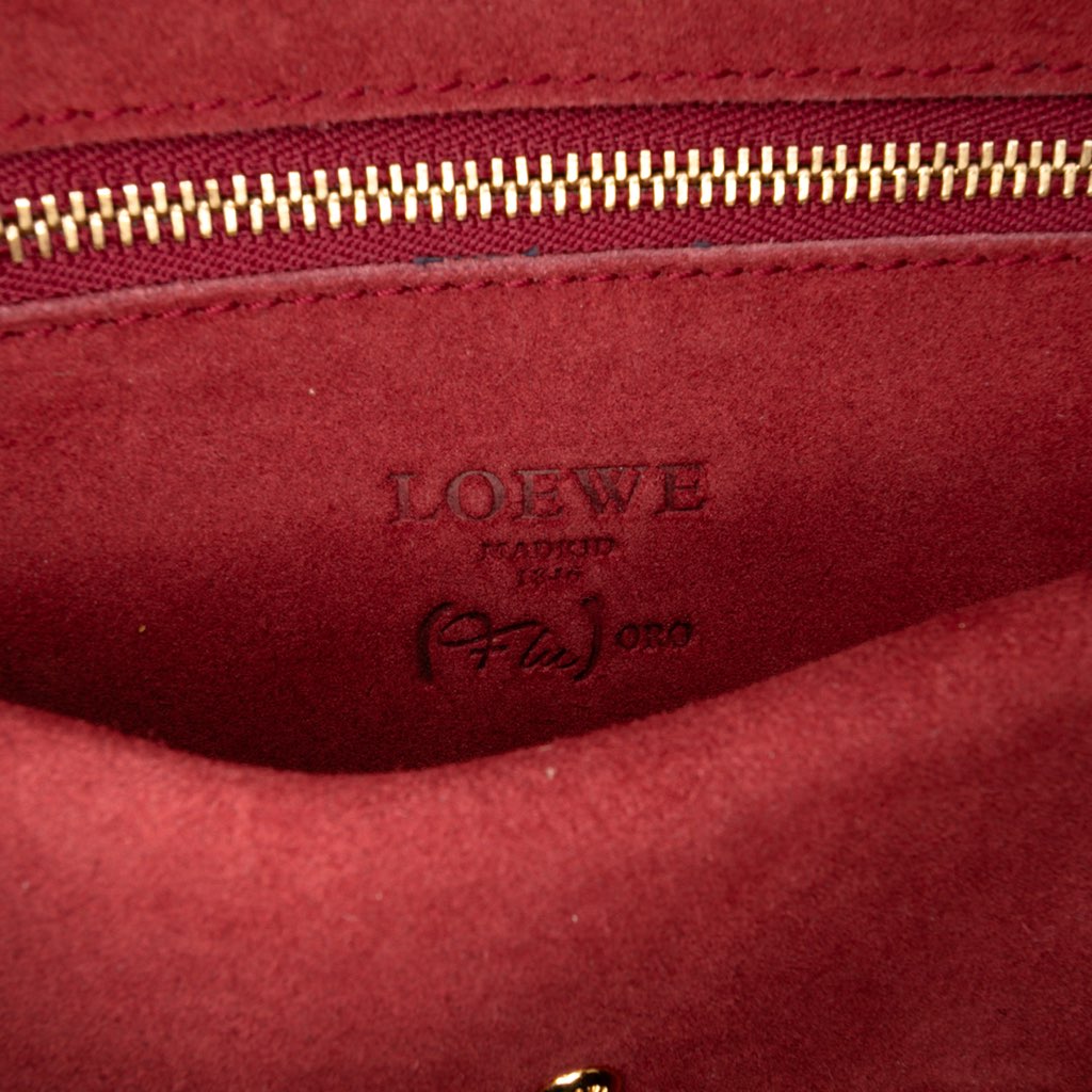 Loewe Tricolor Leather Amazona 36 - 5