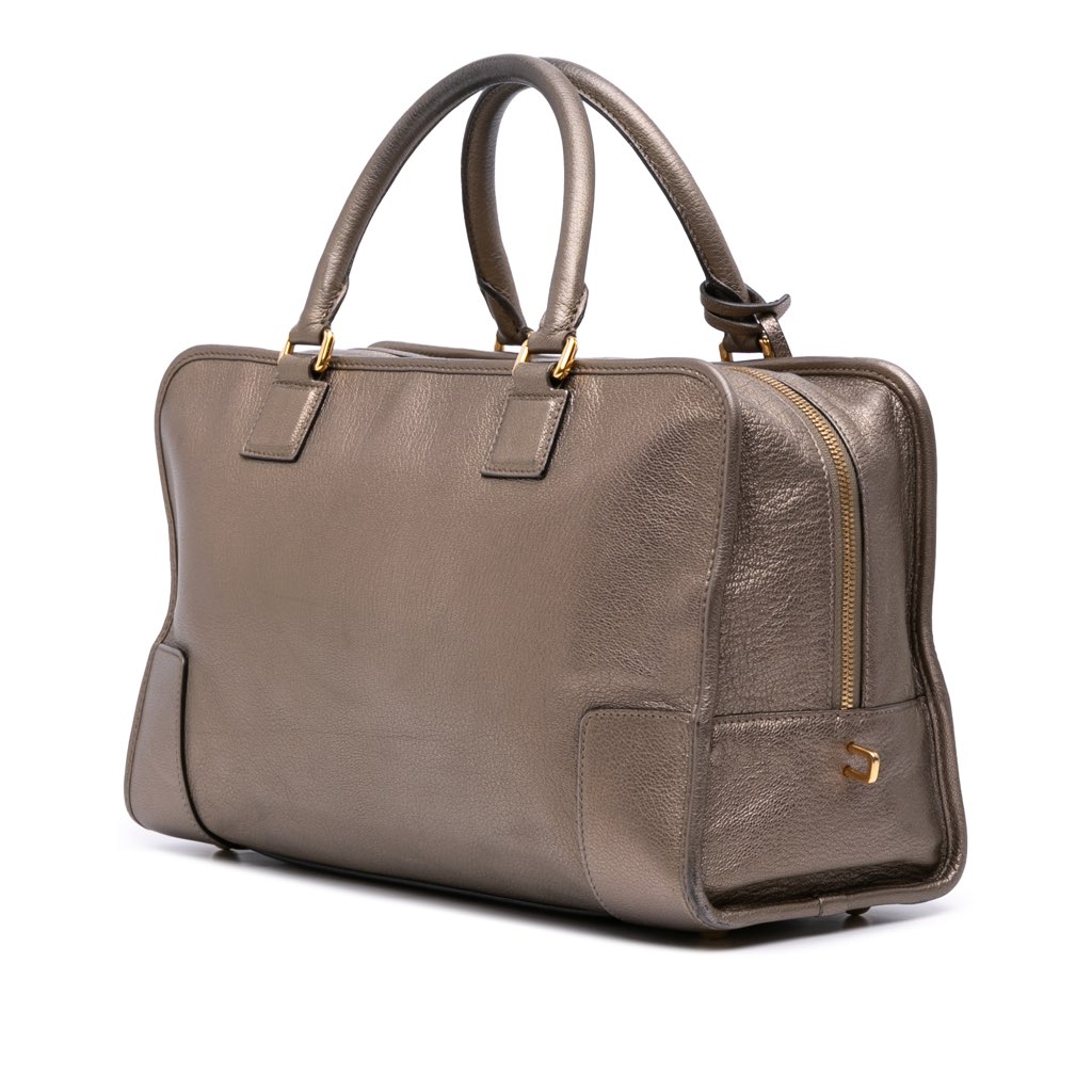 Loewe Metallic Goatskin Amazona 36 - 2