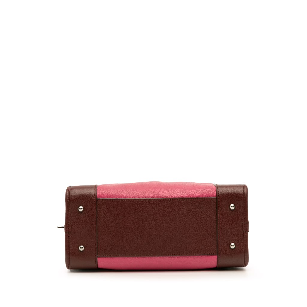 Loewe Tricolor Goatskin Amazona 28 - 3