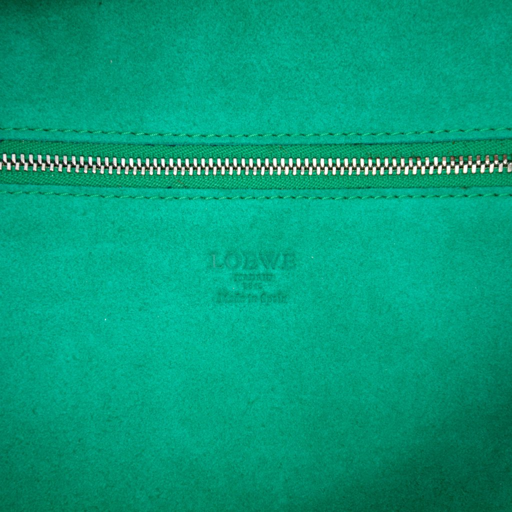 Loewe Leather Amazona 36 - 5