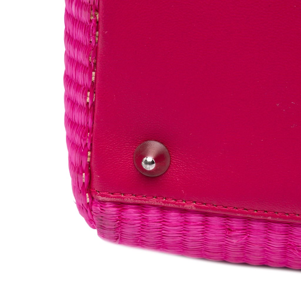 Dior Medium Raffia Lady Dior - Image 14