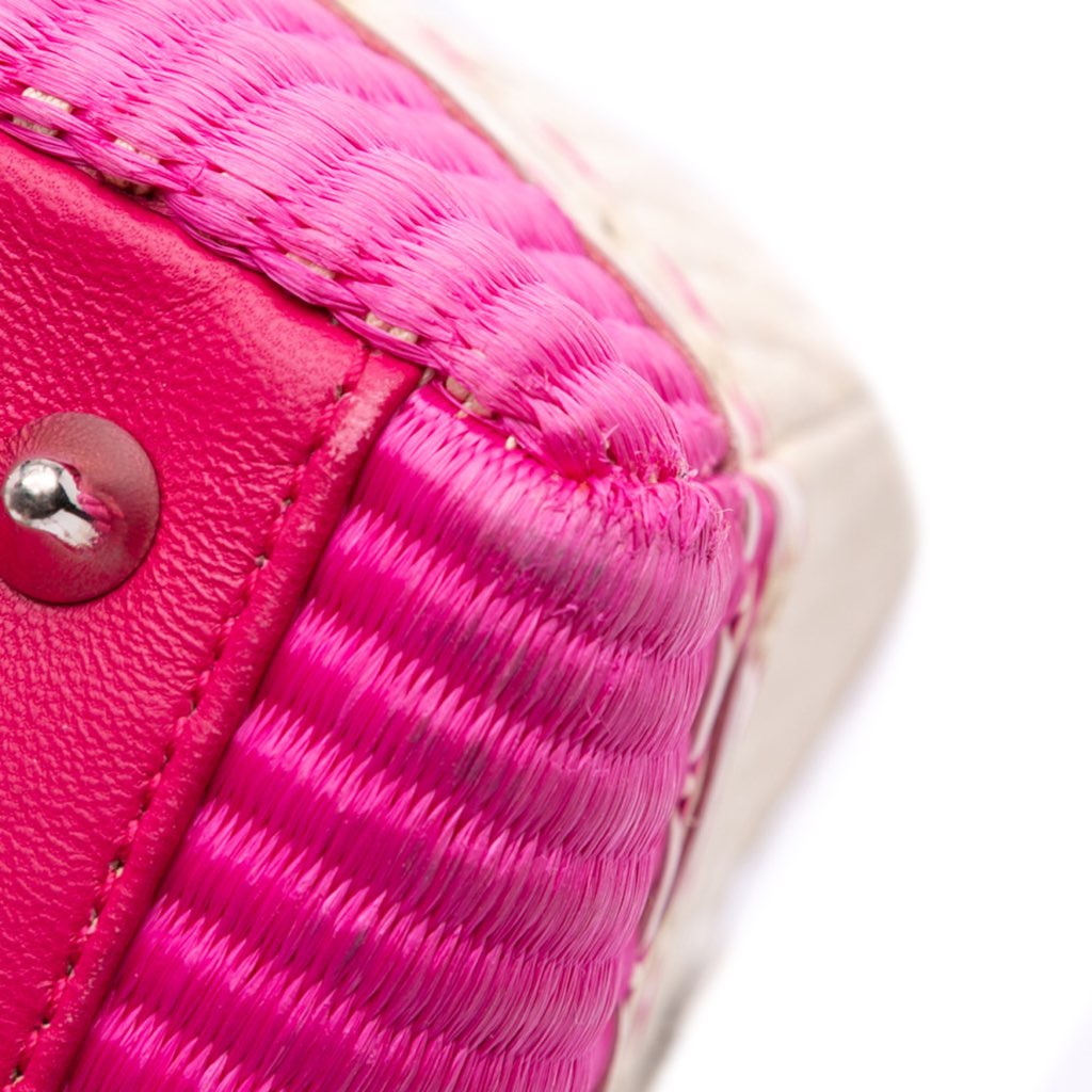 Dior Medium Raffia Lady Dior - Image 15