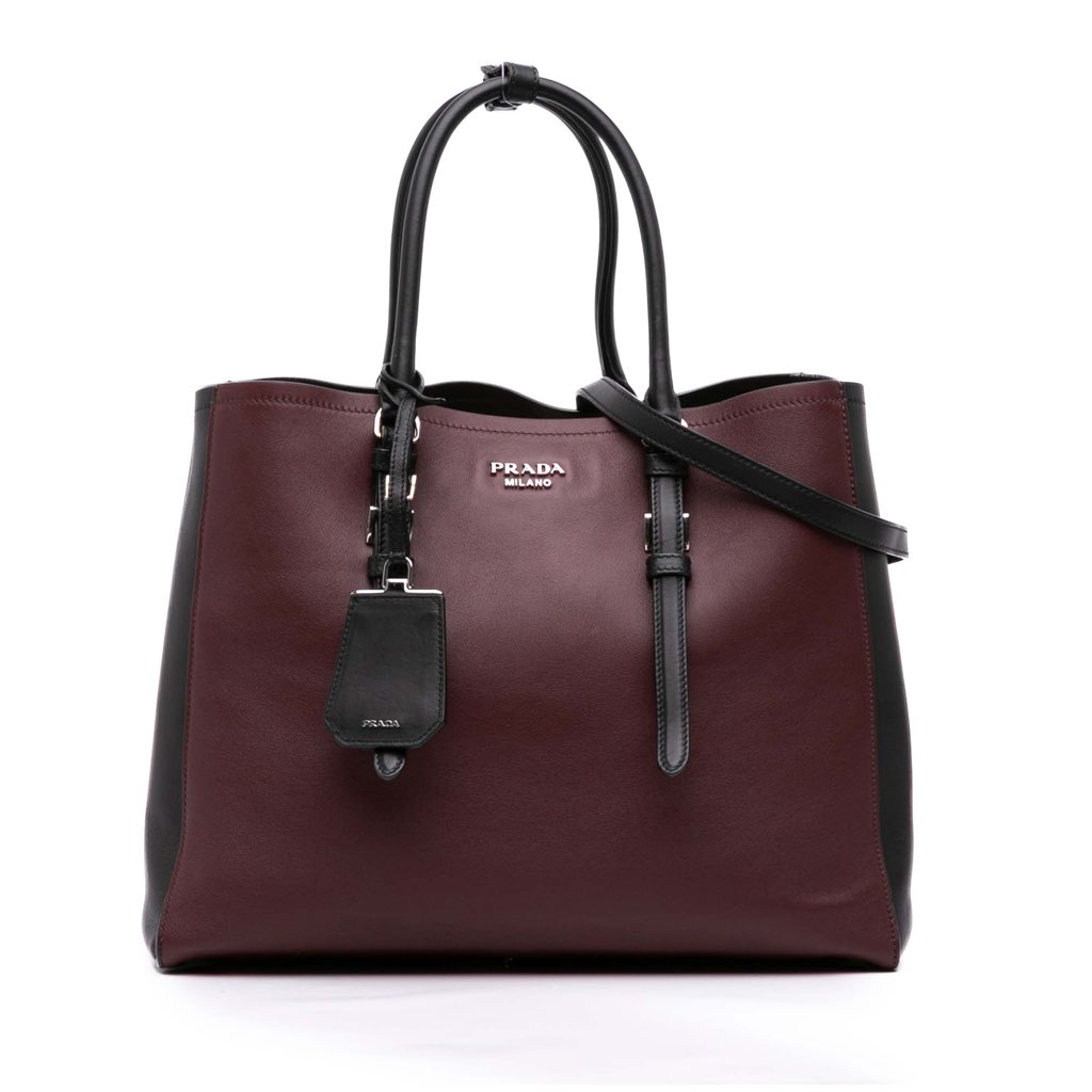 Prada Medium Bicolor City Calf Double Satchel