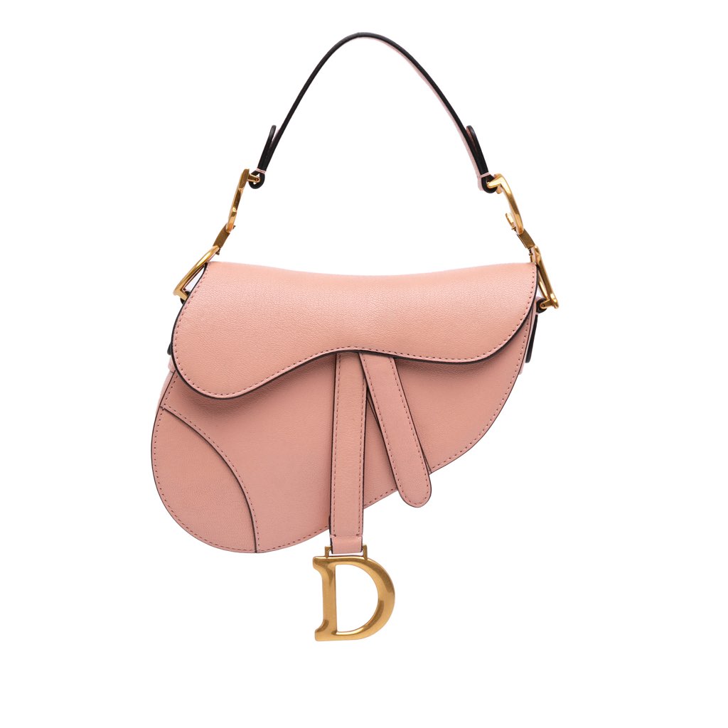 Dior Mini Goatskin Saddle Bag