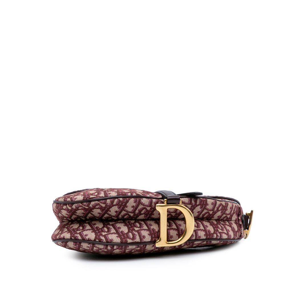 Dior Oblique Canvas Saddle Bag - Image 6