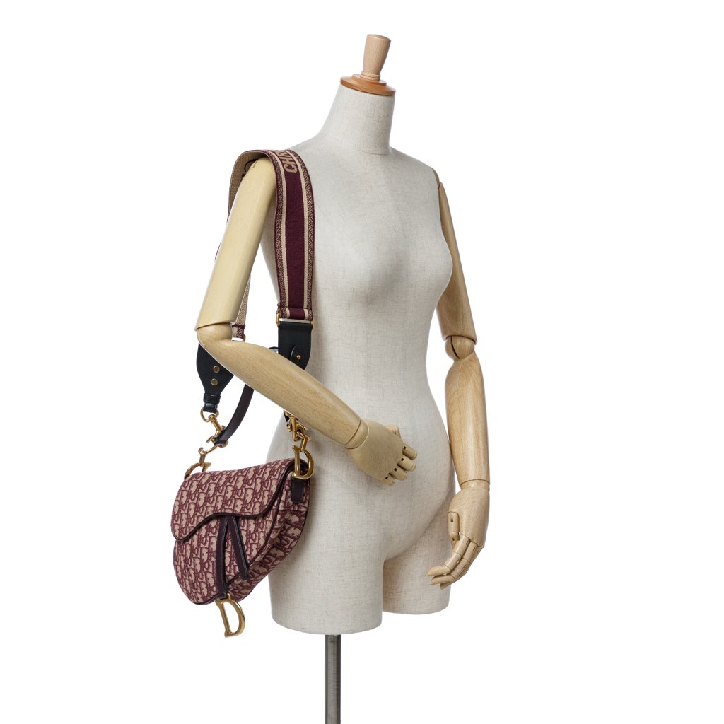 Dior Oblique Canvas Saddle Bag - Image 11