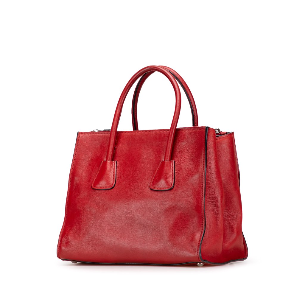 Prada Glace Calf Twin Pocket Satchel - Back view