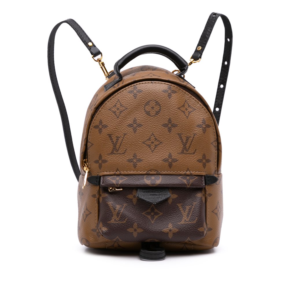 Louis Vuitton Monogram Reverse Mini Palm Springs