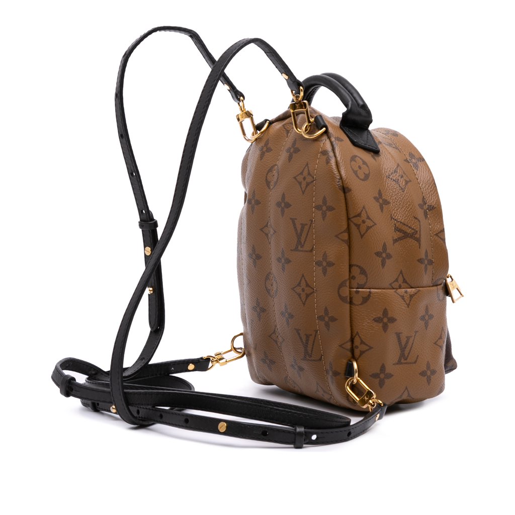 Louis Vuitton Monogram Reverse Mini Palm Springs - Back view
