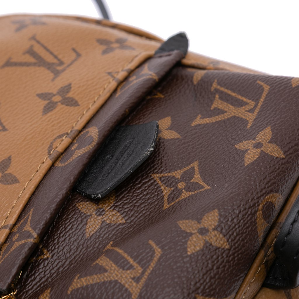 Louis Vuitton Monogram Reverse Mini Palm Springs - Image 13