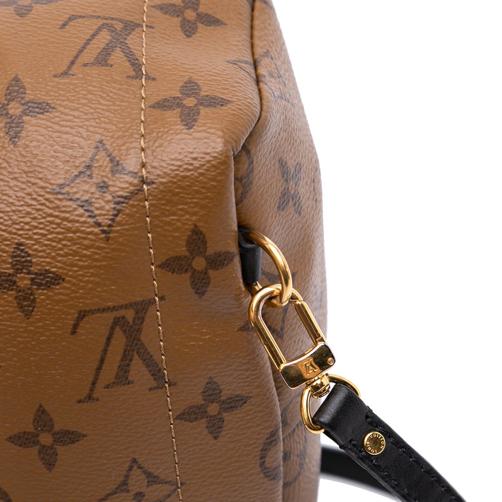 Louis Vuitton Monogram Reverse Mini Palm Springs - Image 11
