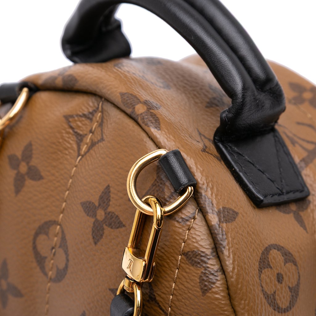 Louis Vuitton Monogram Reverse Mini Palm Springs - Image 12
