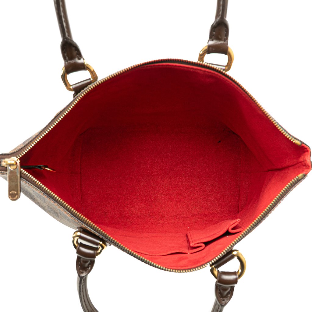 Louis Vuitton Damier Ebene Saleya PM - 4