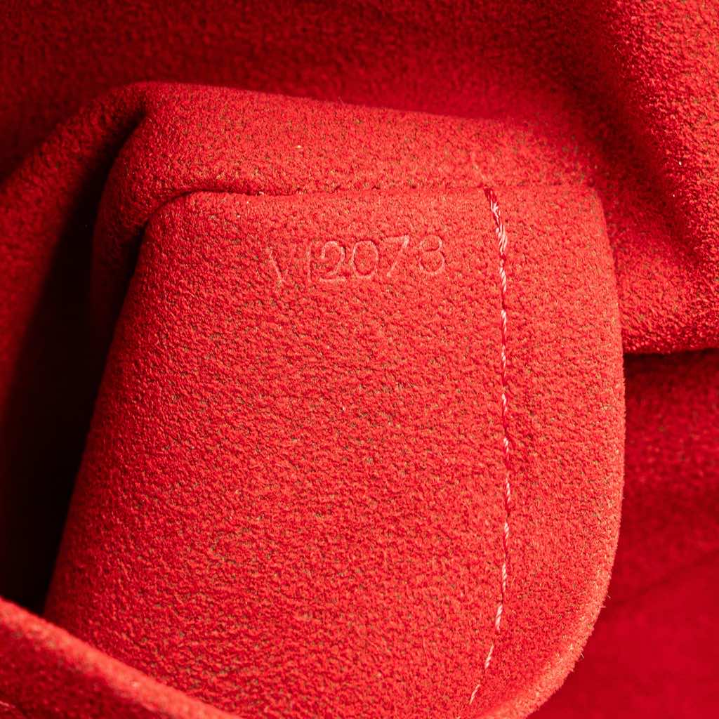 Louis Vuitton Damier Ebene Saleya PM - 5