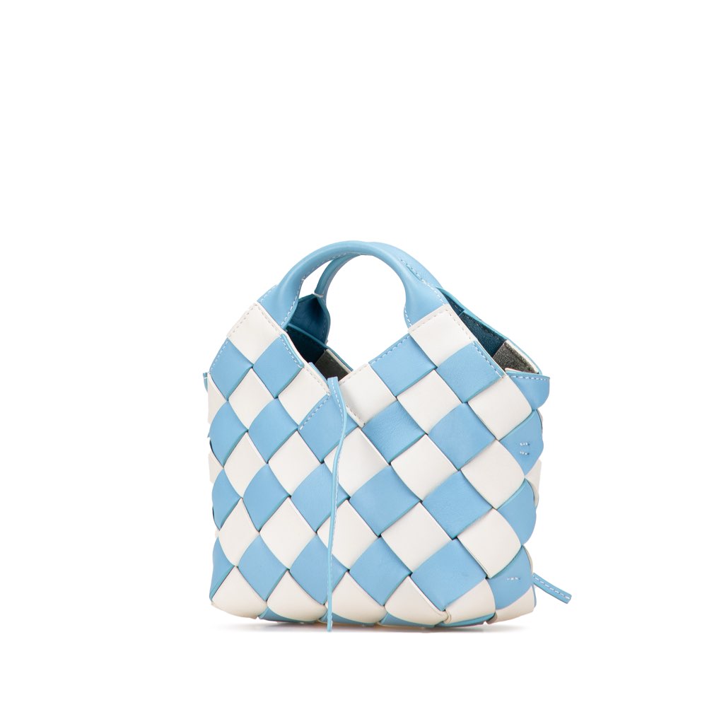 Loewe Mini Woven Calfskin Gingham Surplus Basket Bag - Back view