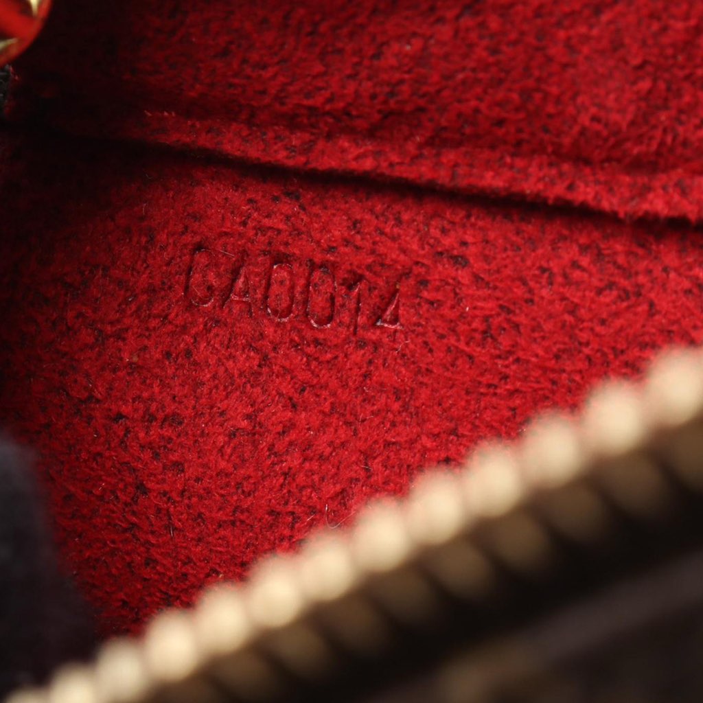 Louis Vuitton Monogram Viva Cite PM - 5