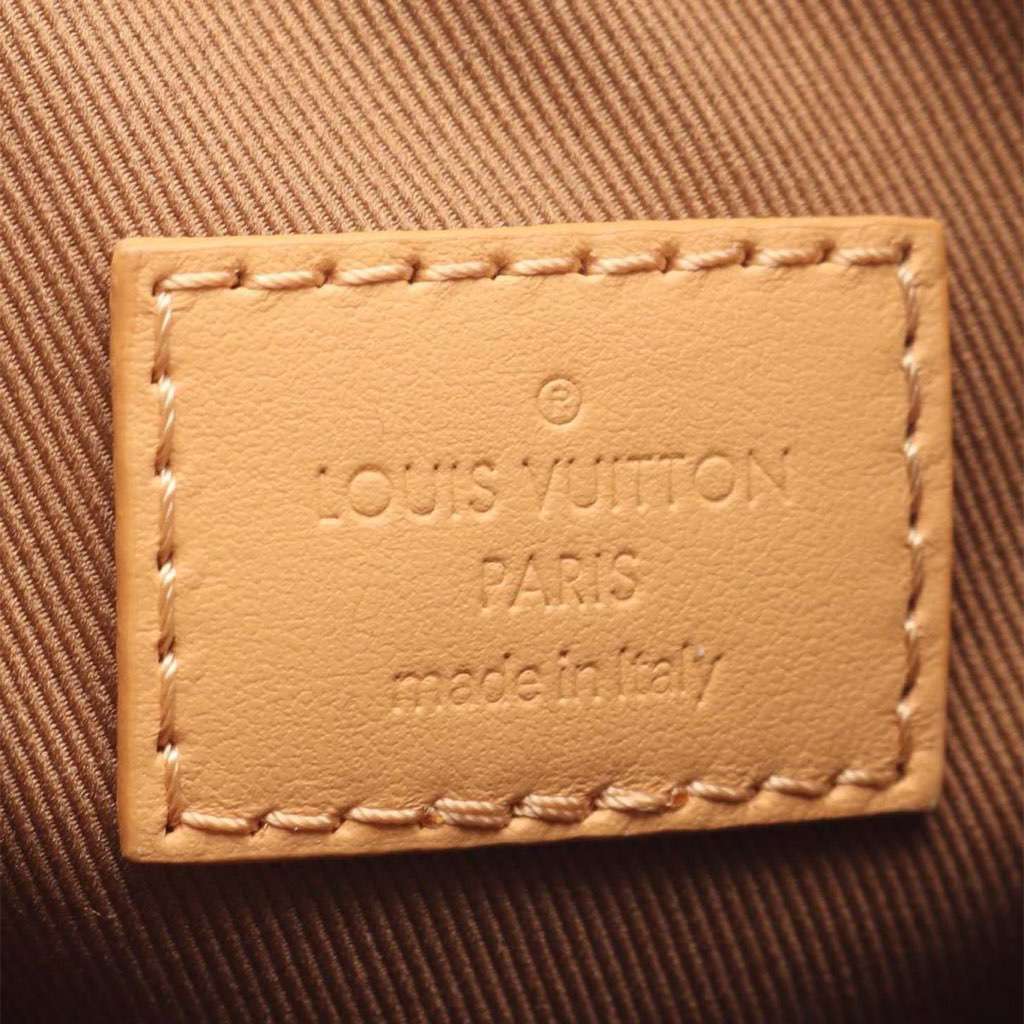 Louis Vuitton Grained Calfskin and Monogram Hobo Cargo - 4