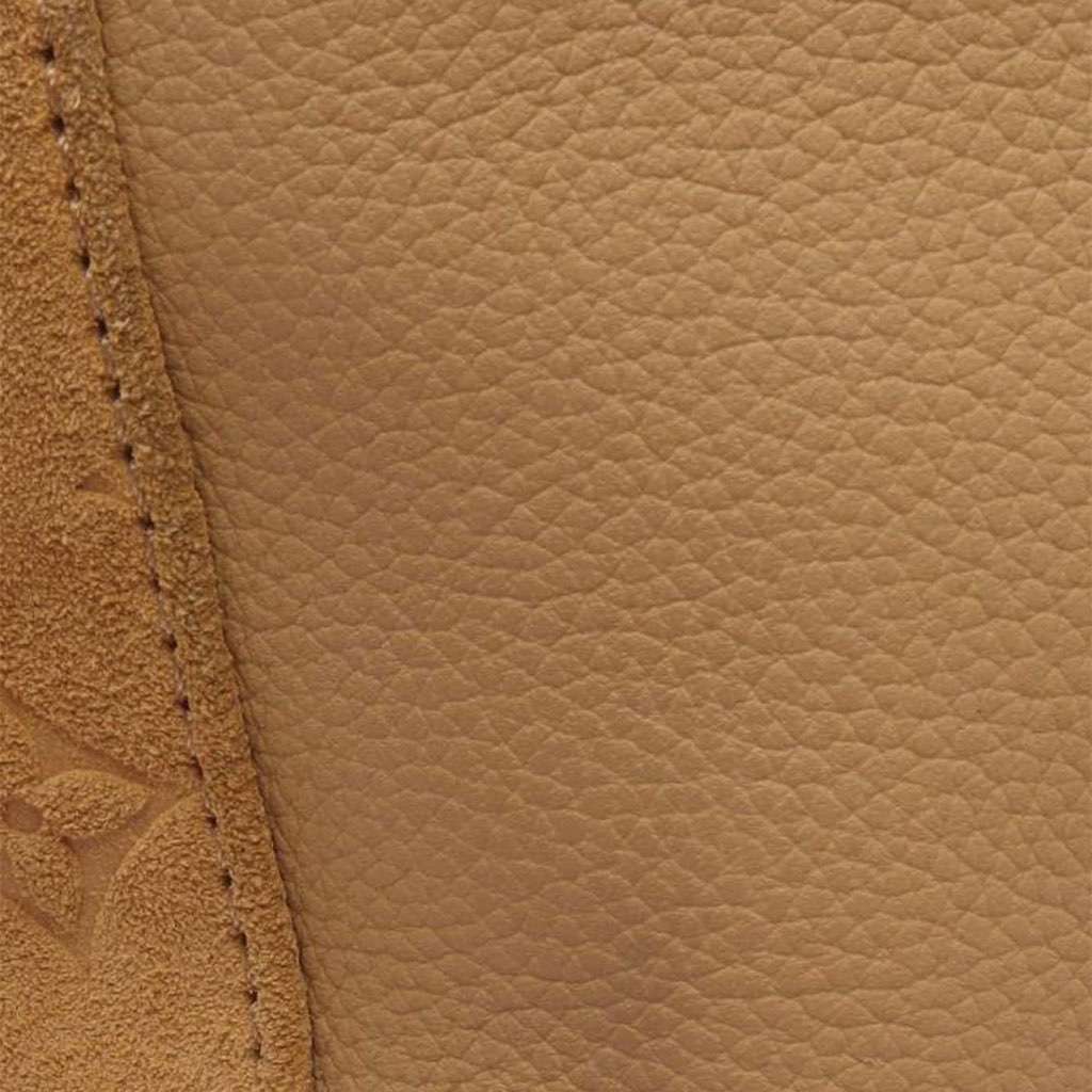 Louis Vuitton Grained Calfskin and Monogram Hobo Cargo - 5