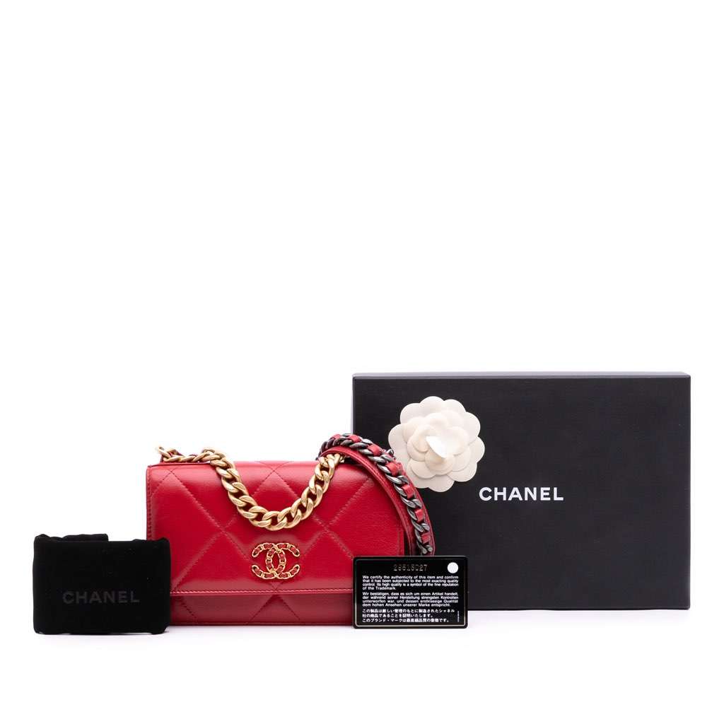 Chanel Quilted Goatskin 19 Wallet on Chain - Image 15