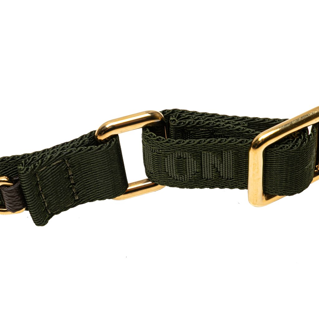 Louis Vuitton Monogram Felicie Strap And Go - Image 10