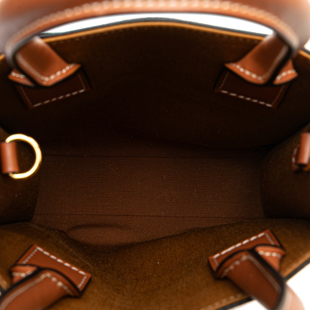 Celine Mini Triomphe Coated Canvas Vertical Cabas Satchel - 4