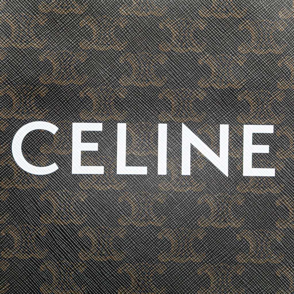 Celine Mini Triomphe Coated Canvas Vertical Cabas Satchel - Detail 1