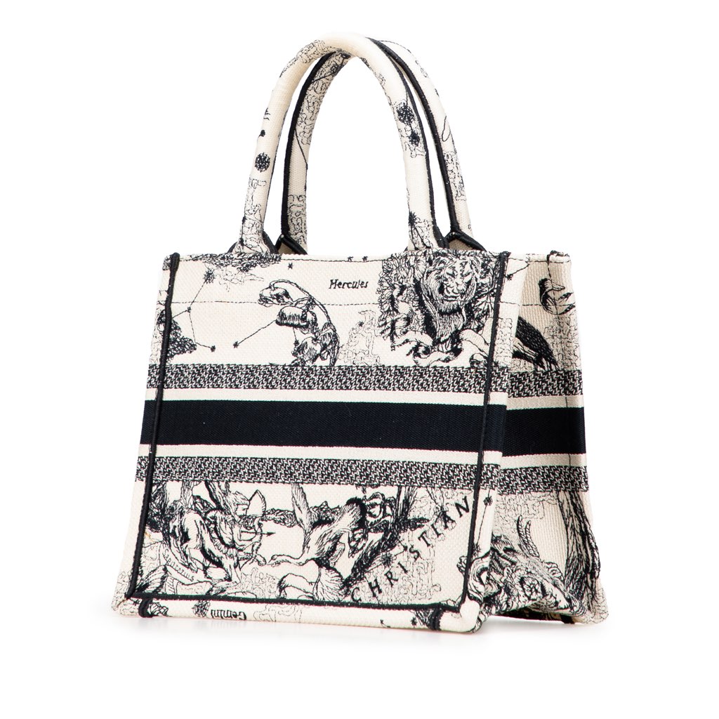 Dior Small Canvas Embroidered Zodiac Toile De Jouy Book Tote - 2