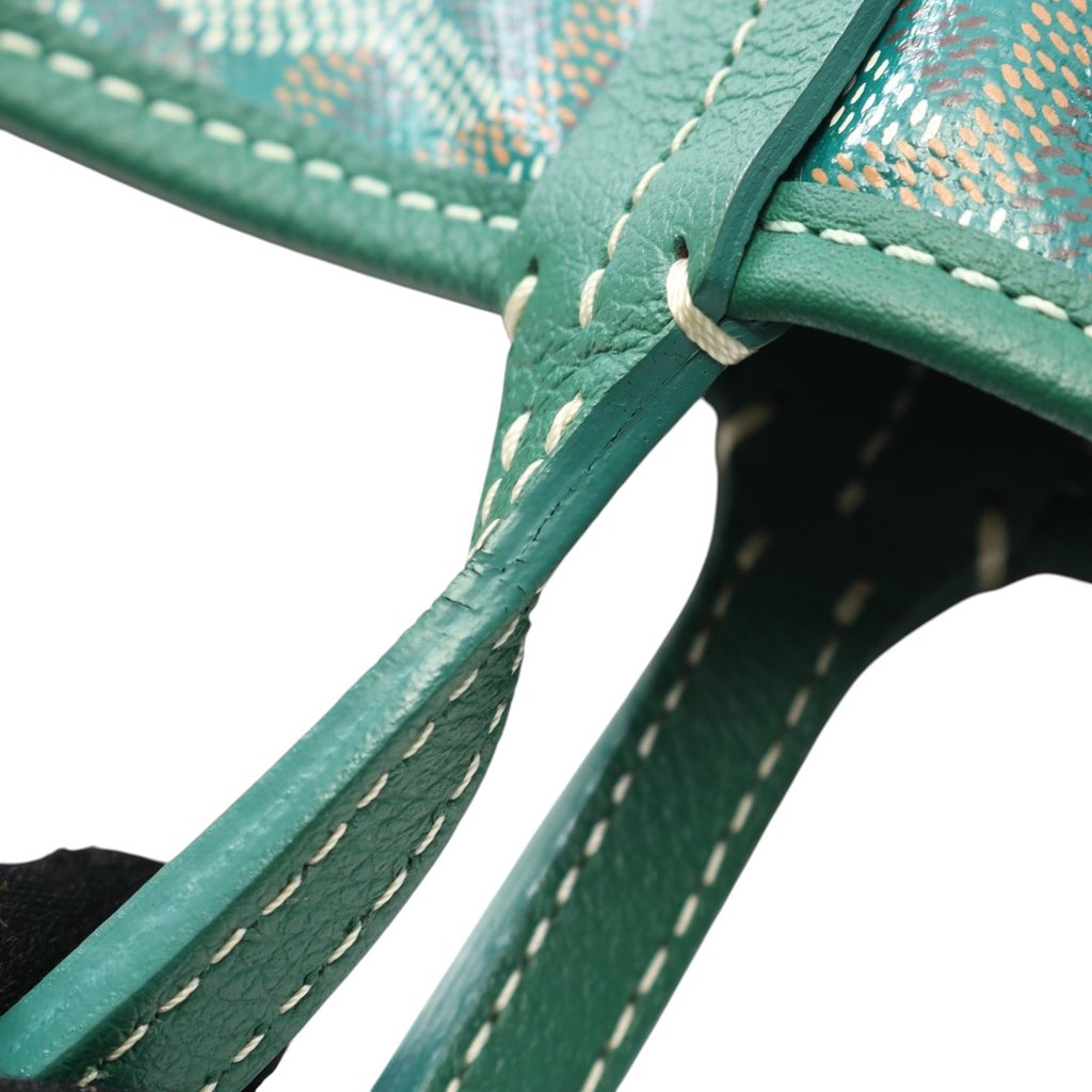 Goyard Goyardine Saint Louis PM - 4